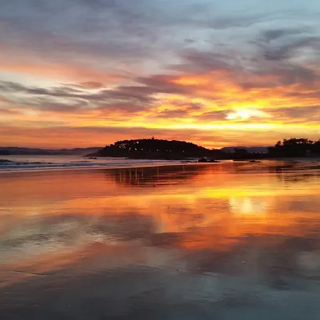 Hotel Rhin Garden 4*