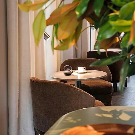 Rhin Garden (adults Only) 4* Santander